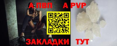 СК Новозыбков