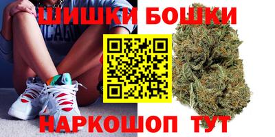 мдпв Новокубанск