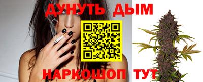 СК Новозыбков