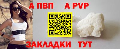 СК Новозыбков