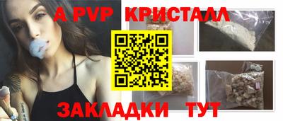 СК Новозыбков