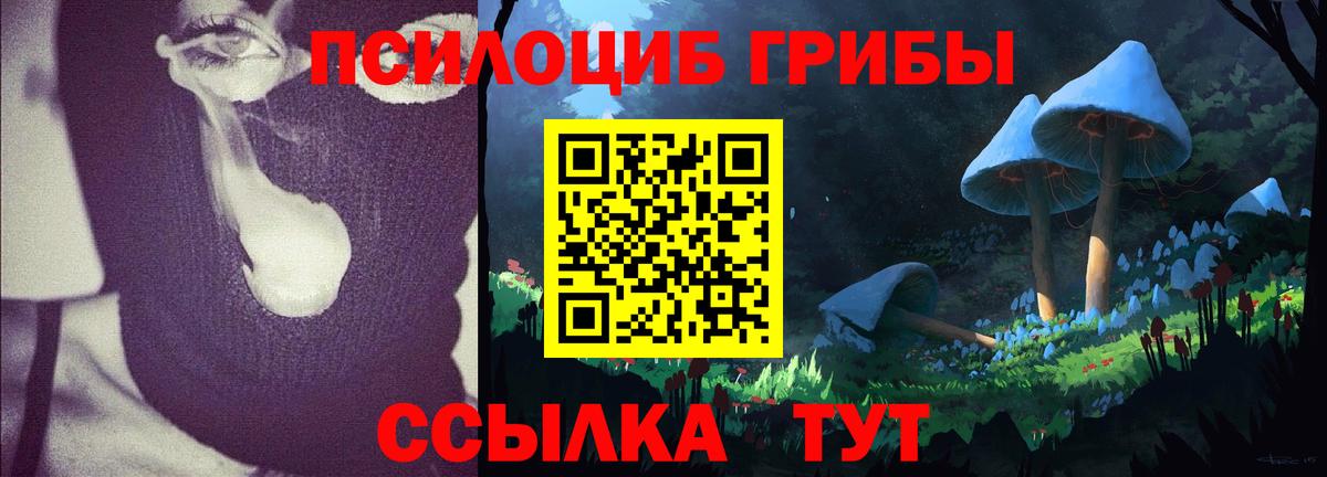 Псилоцибиновые грибы Cubensis  Вход с VPN  Галлюциногенные грибы мицелий  Солнечногорск 
